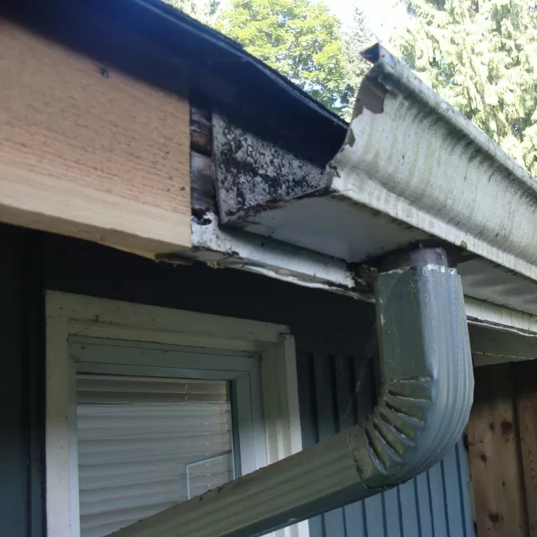 Fascia Replacement Sydney