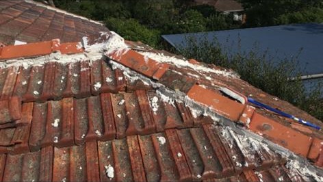 Dodgy Roofers